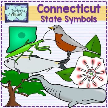 Connecticut state symbols clipart by Teacher's Clipart | TpT