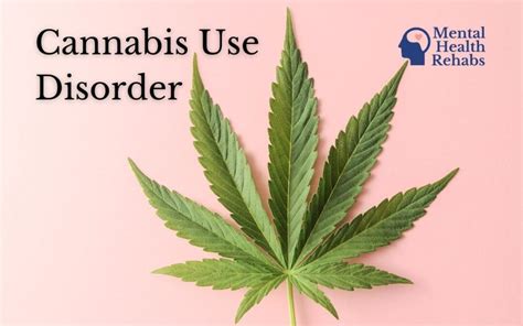 Cannabis Use Disorder: All You Need to Know - Mental Health Rehabs