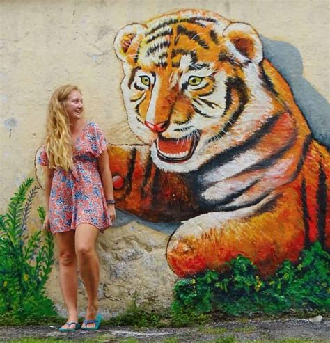 Ipoh Street Art: Self-Guided Walking Tour - Where Goes Rose?