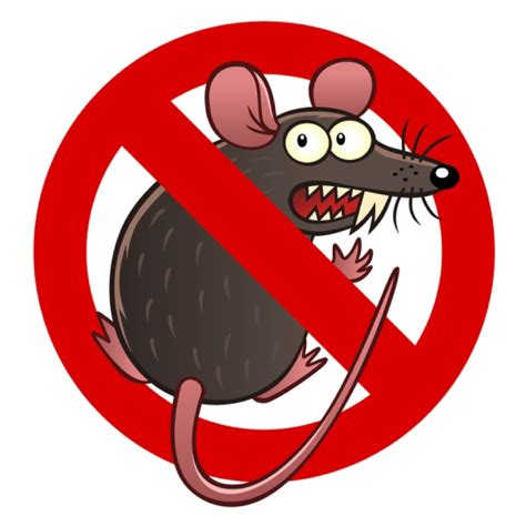 Questions to Ask Your Mouse Exterminator - Mice Mob Exterminators