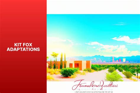 Discover 7 Remarkable Kit Fox Adaptations and Their Survival Strategies ...