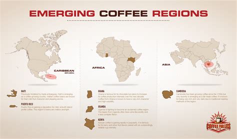 coffee growing regions in india Coffee plantation india