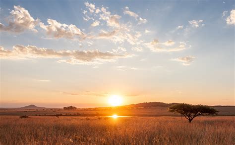 African Sunset Pictures | Download Free Images on Unsplash