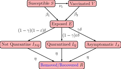 Flow diagram demonstrating the COVID-19 transmission model. | Download Scientific Diagram