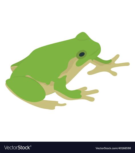 Frog Royalty Free Vector Image - VectorStock