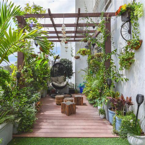 Terrace Balcony Garden - Tropical - Balcony - Bengaluru - by MyCloudforest | Houzz