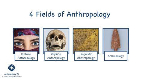 Anthropology 4U – Medium