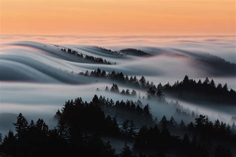 Interesting Photo of the Day: Rolling Fog at Mount Tamalpais