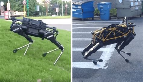 Video: This robotic dog from China looks pretty familiar