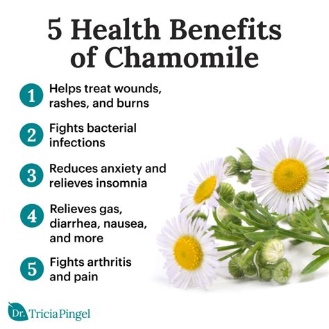 5 Surprising Chamomile Tea Benefits - Dr. Pingel