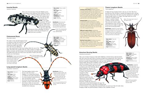 [Solved] Illustrated encyclopedia template | SolveForum