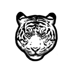 Hear me roar Tattoo - Semi-Permanent Tattoos by inkbox™ - Inkbox™