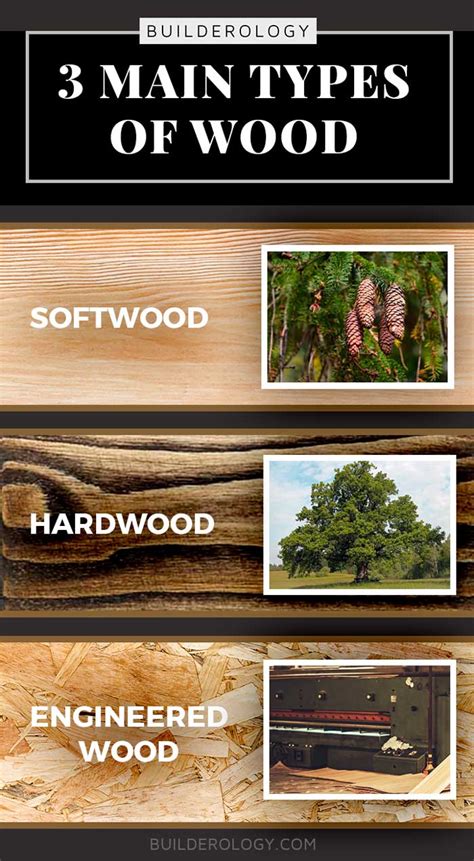 Softwood Types And Uses Cheapest Shop | 2022.markettraders.com