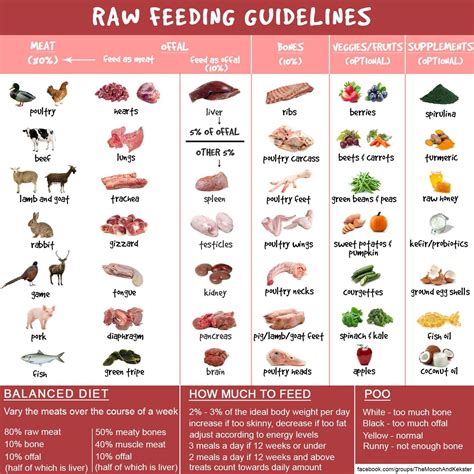 Dog Food Feeding Chart