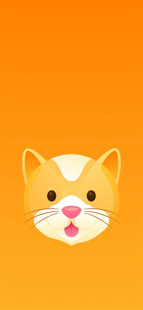 Cat Face Emoji Wallpaper | Wallaland