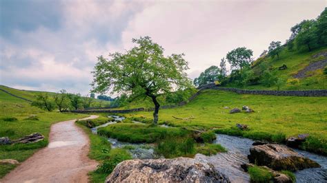 Free picture: sky, summer, landscape, grass, tree, nature, water, outdoor