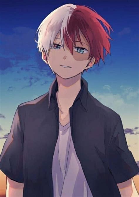 #todoroki smile my hero academia in 2020 | My hero academia manga, Hero, My hero