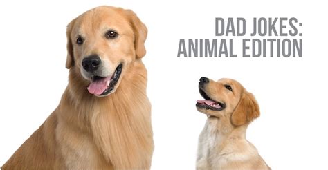 Dad Jokes: Animal Edition – Herbsmith