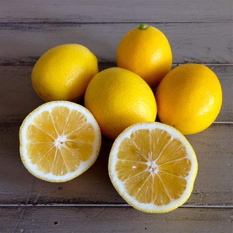 Organic Meyer Lemons — Fairview Orchards