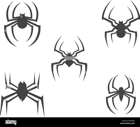 Spider Logo design vector illustration design template Stock Vector Image & Art - Alamy