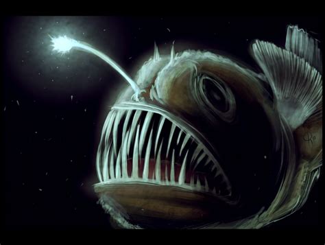 Angler Fish by Chase-Face on DeviantArt