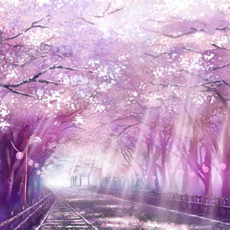 Pink Anime Scenery Wallpapers - Top Free Pink Anime Scenery Backgrounds - WallpaperAccess