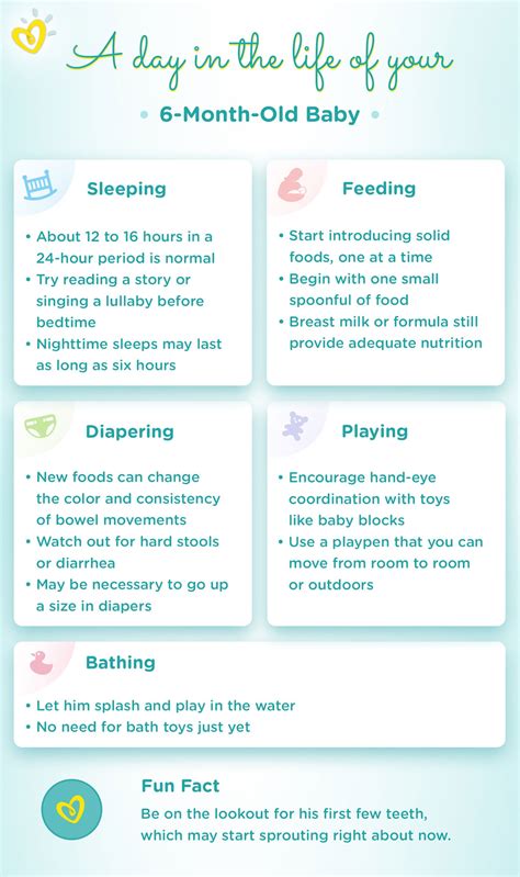 6-Month-Old Baby: Milestones, Weight and Feeding | Pampers