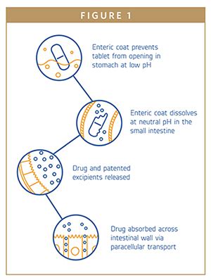 PEPTIDE THERAPEUTICS - Oral Peptide Therapeutics – Opportunities Abound as Barriers Fall