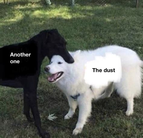 Another dog bites the dust - Meme by Blakmeemboi :) Memedroid