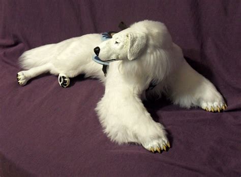 Polar Bear Dog Avatar images