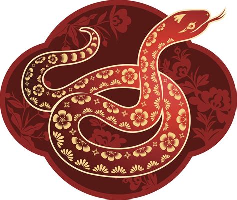 What is snake Chinese zodiac? – ouestny.com