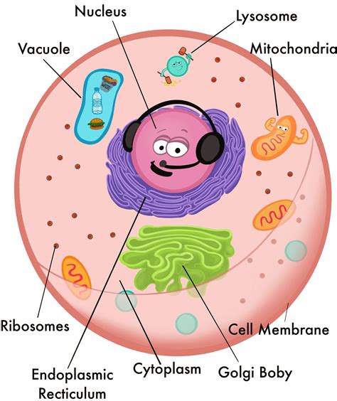 Cells for Kids — Jolie Canoli