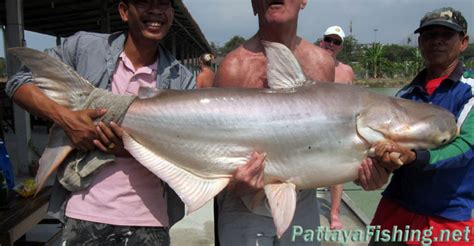 Pattaya Fishing Park 6th February - Pattaya Fishing