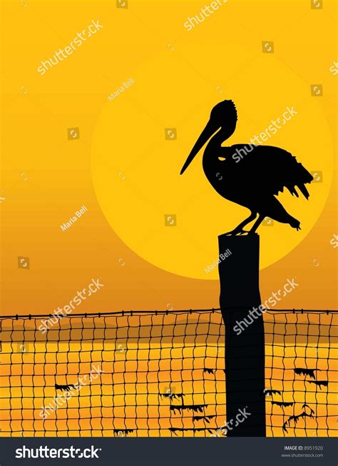 Black Silhouette Pelican Against Sunrisesunset Stock Vector (Royalty Free) 8951920 | Shutterstock