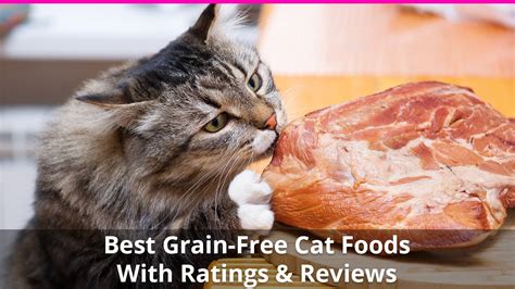 The Best Grain Free Cat Food - Reviews of the Top Wet and Dry Brands