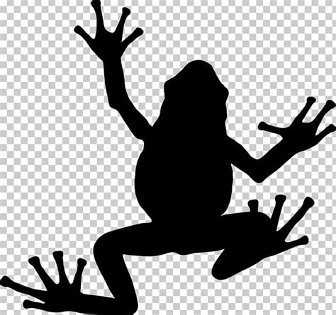 Frog Silhouette PNG, Clipart, Amphibian, Animals, Art, Artwork, Black ...