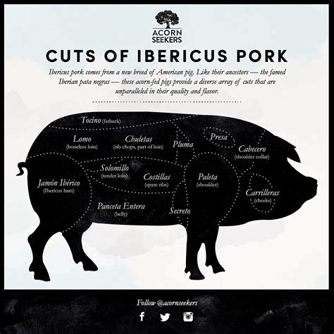 Ibericus Pork Is Here At Last: Which Cut Will You Try First? | by Acornseekers | The Bellota ...