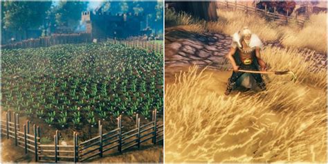 Valheim: 11 Tips For Creating The Best Farm