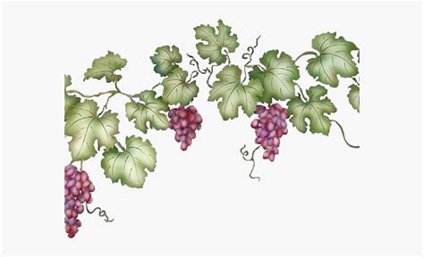 Download High Quality grape clipart vine Transparent PNG Images - Art Prim clip arts 2019