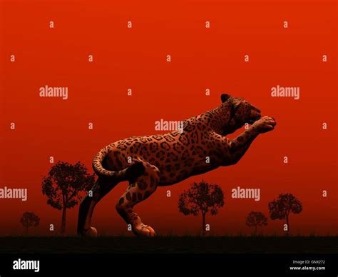 Panther jumping Stock Photo, Royalty Free Image: 116742502 - Alamy