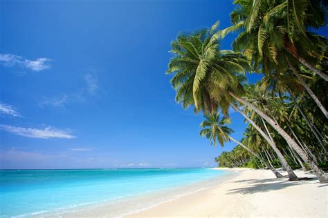 Bahamas Beaches Wallpaper - WallpaperSafari