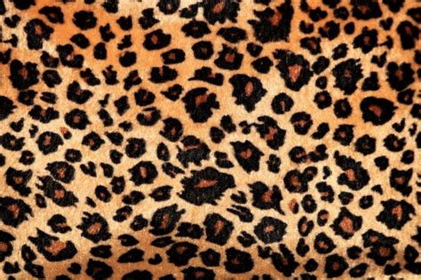 Brown Leopard Print Background