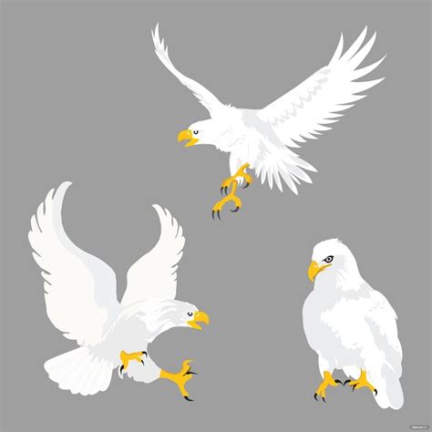 White Eagle Vector in Illustrator, JPG, SVG, EPS, PNG - Download ...