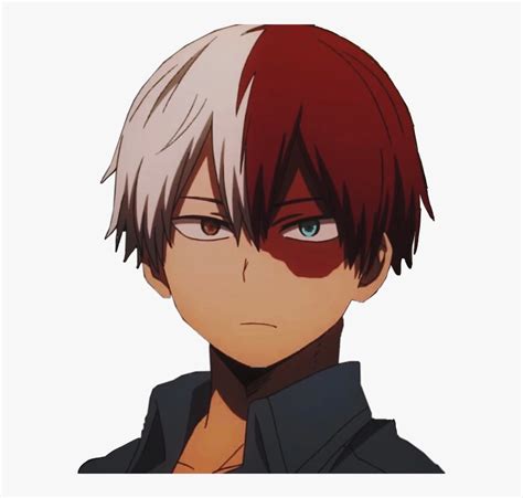 Mha Shoto Todoroki Anime