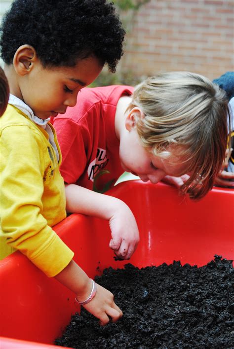 Harvesting the Worm Bin with PreK – Institute for Local Self-Reliance