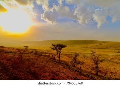 Ngorongoro Crater Sunrise Conservation Area Panoramic Stock Photo ...