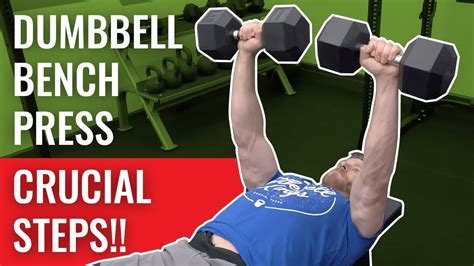 Dumbbell Overhead Press Muscles Worked