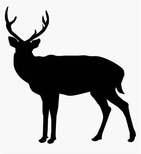 Buck Deer Silhouette - Buck Deer Silhouette Png, Transparent Png - kindpng