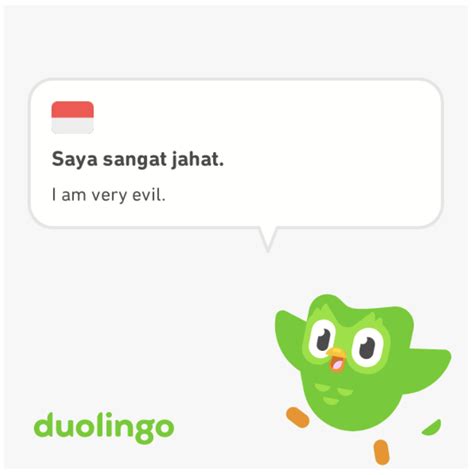 51 Duolingo Memes That Are Funny But Alarming