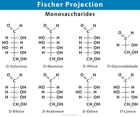 Fischer Projection: Definition, Illustration, and Examples